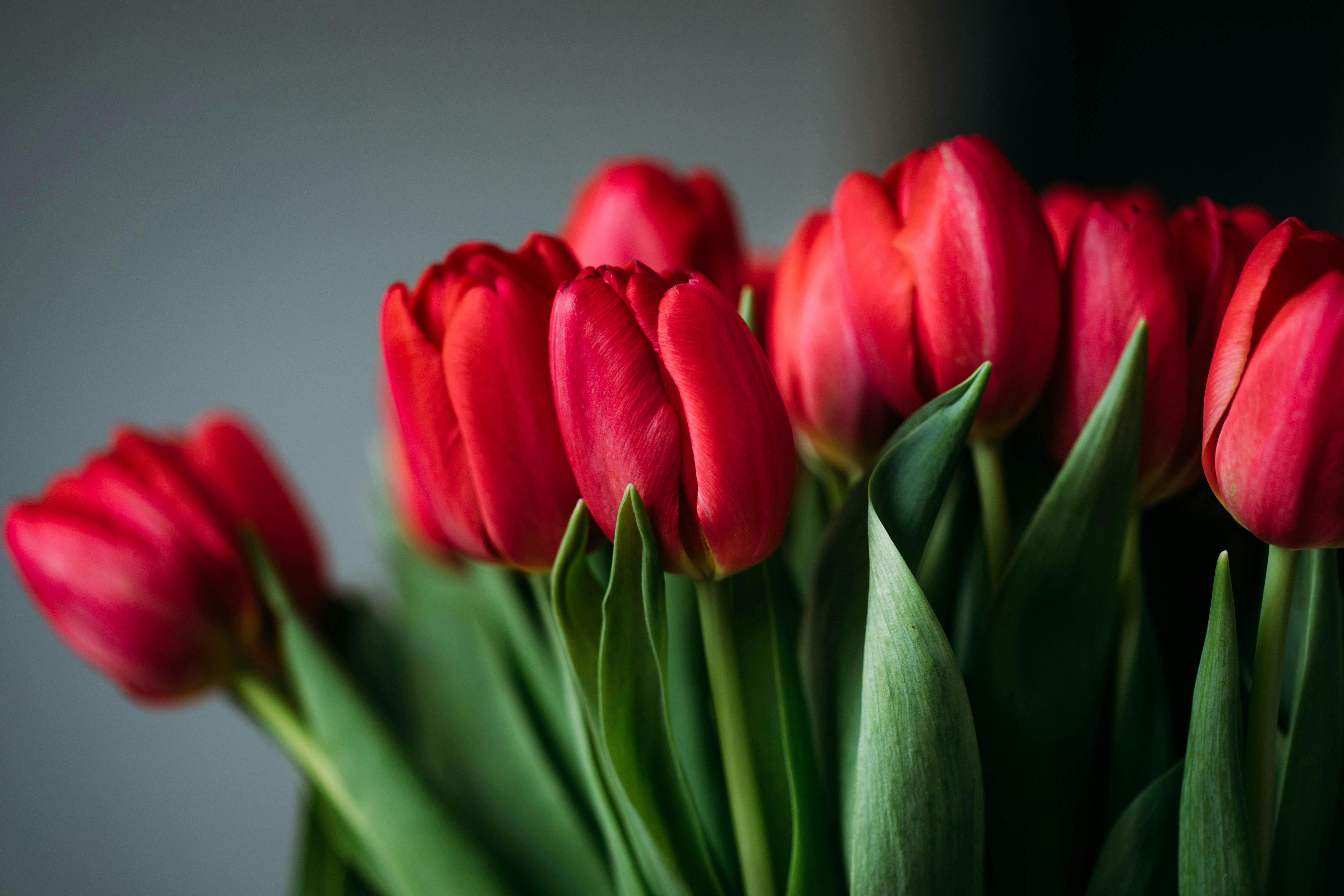 Atelier floral