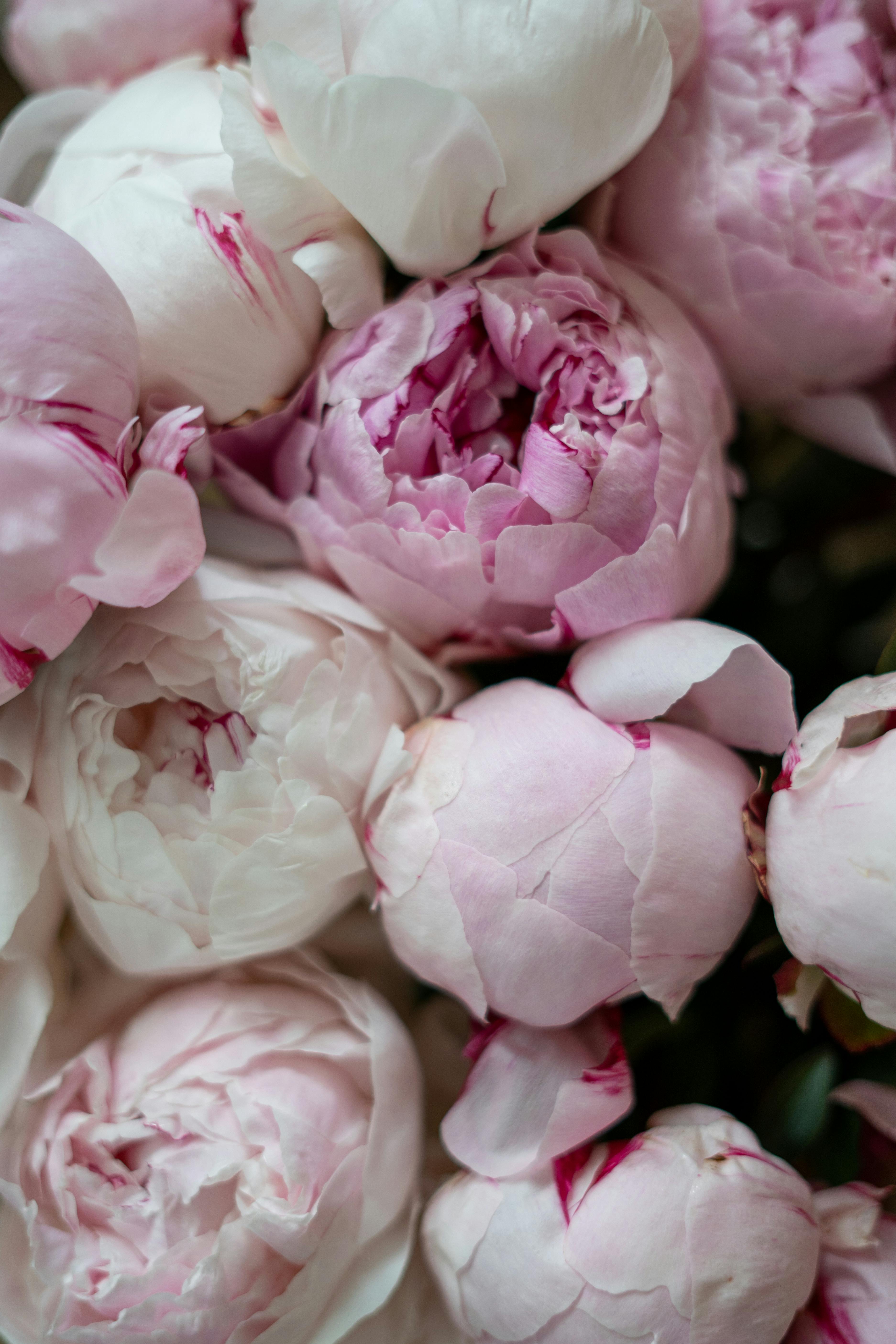 Atelier floral