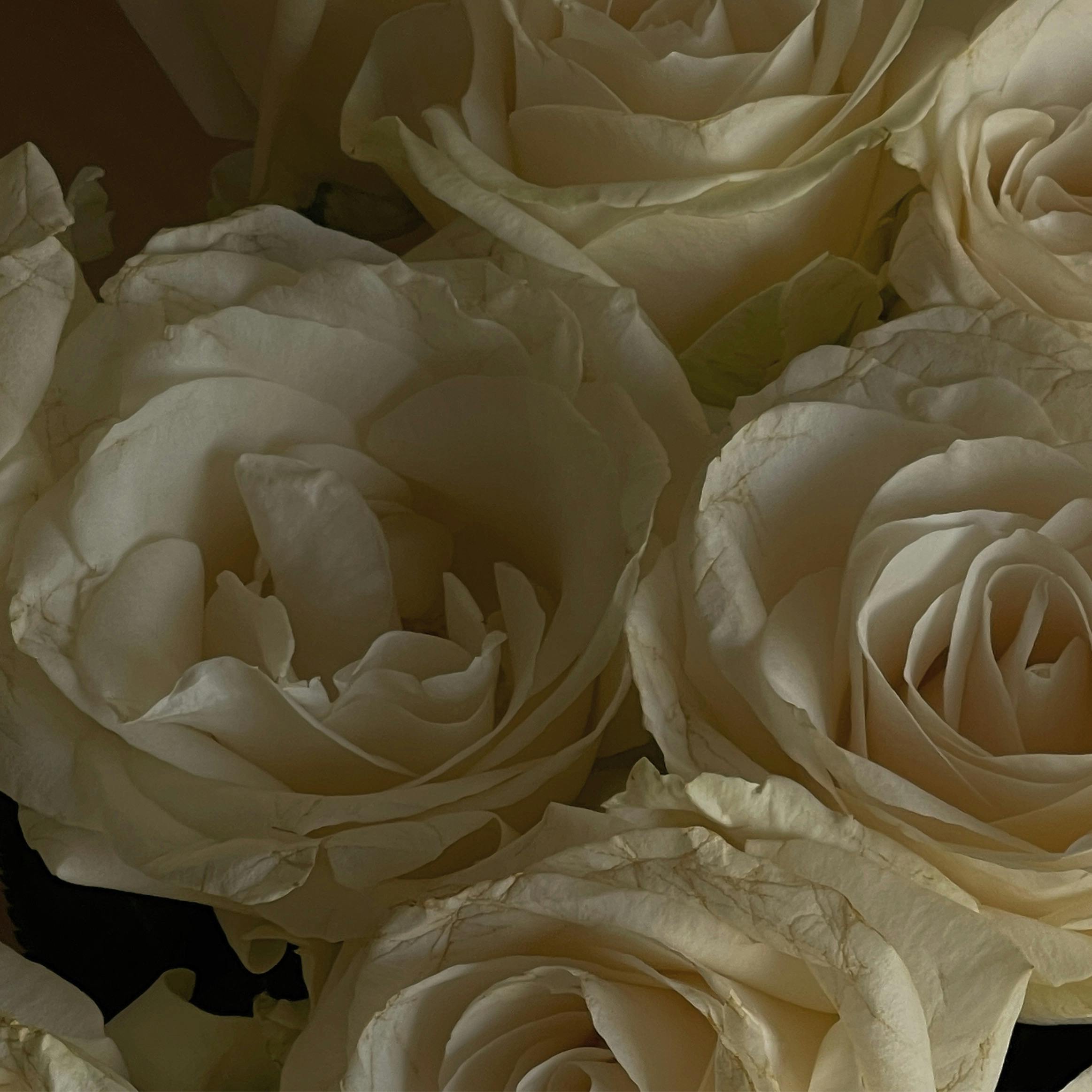 Cours de fleuristerie
